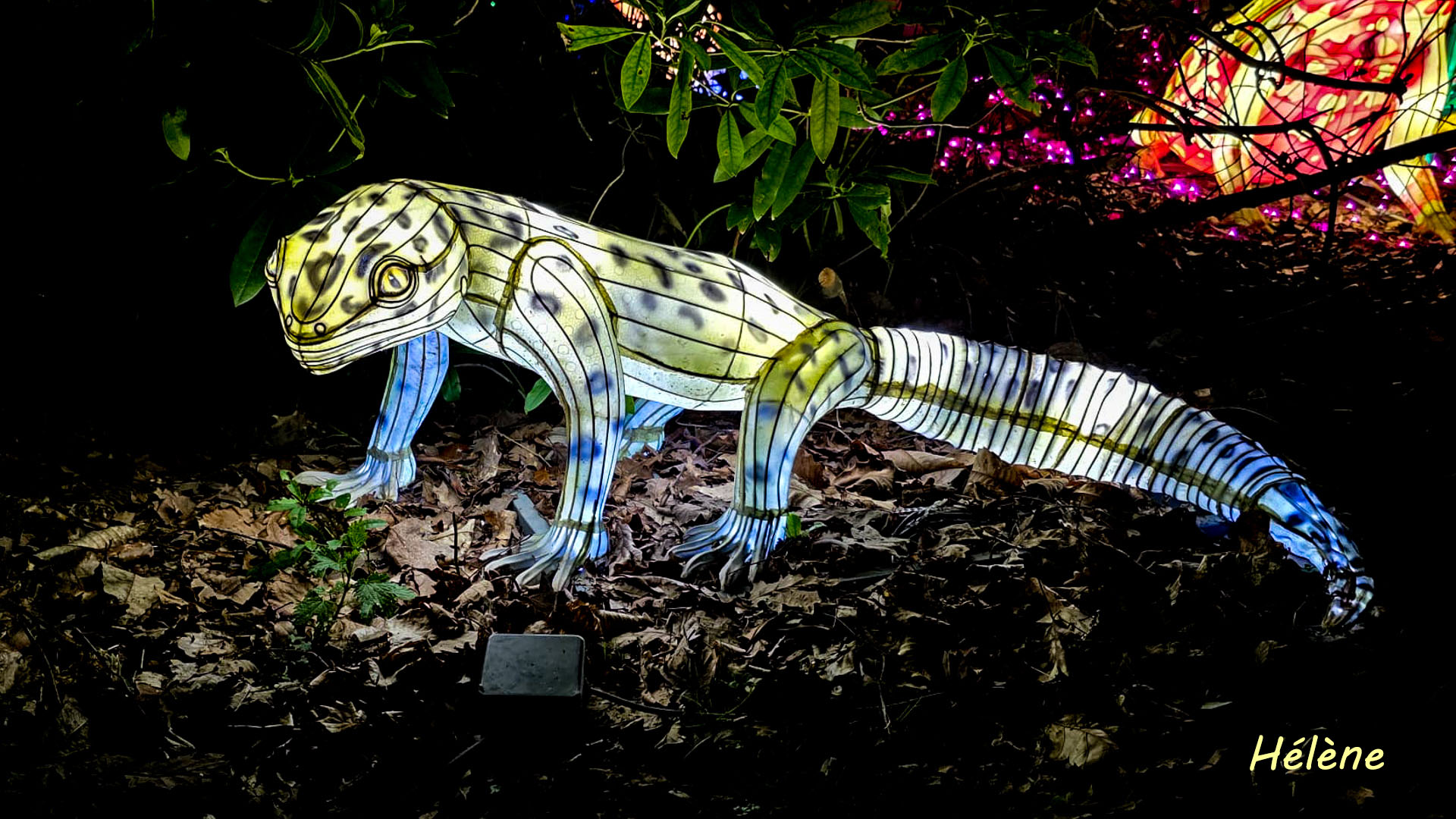 THOIRY -Illumination ,  Lumières sauvages 2025-2026